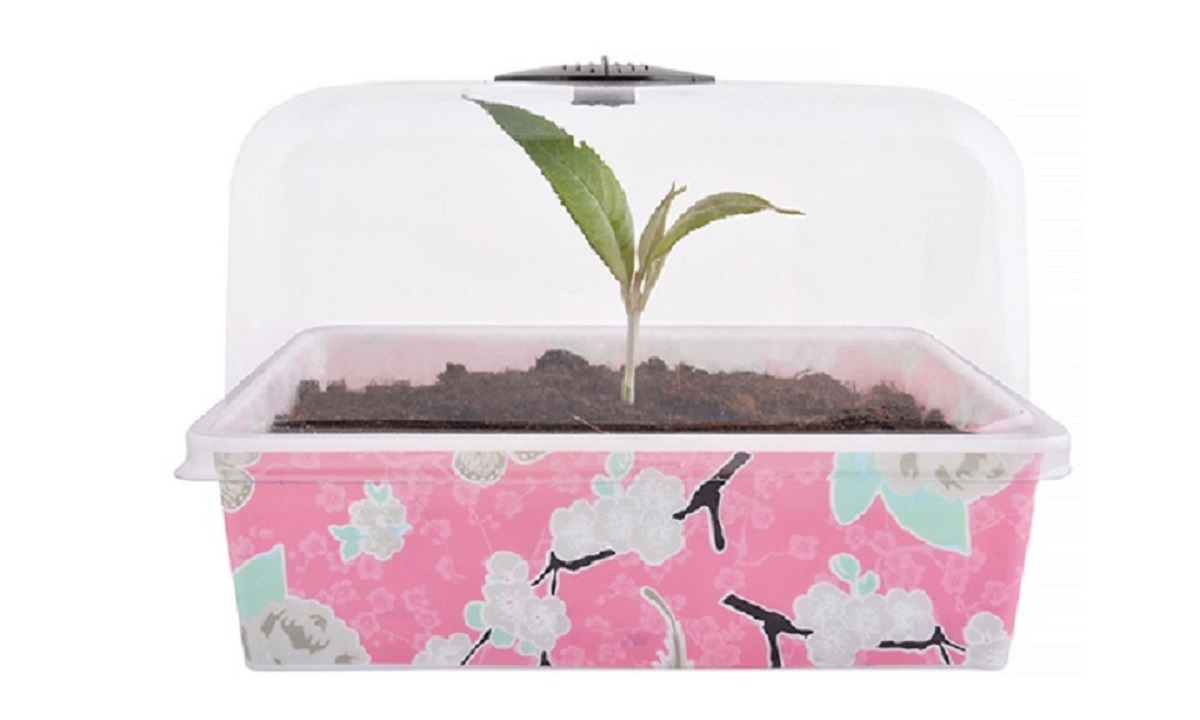 3-er Set Blumentopf 22x17x15 cm Jet-Line Anzucht Topf